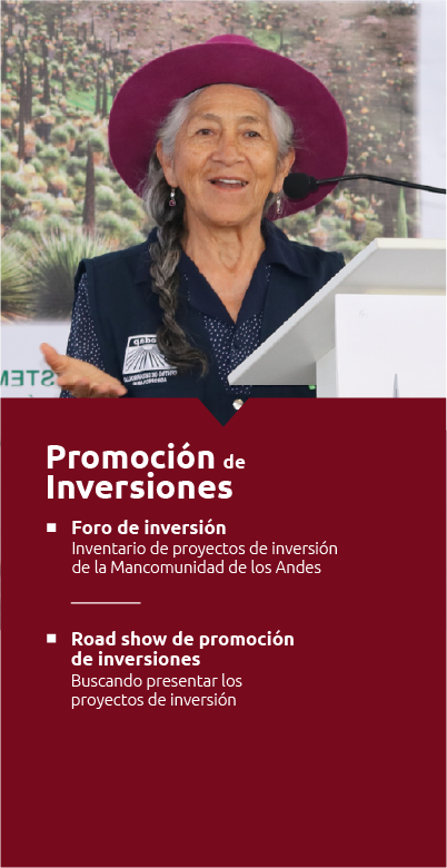 2. promoción de inversiones_1