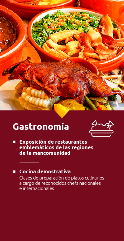 6 gastronomía