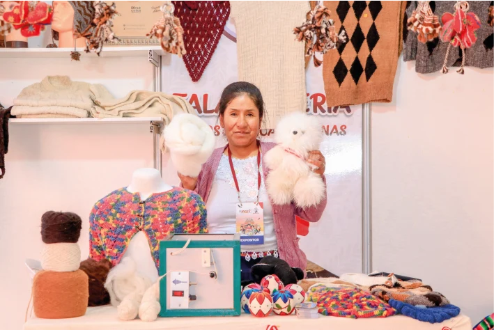 PERFIL EXPO PERÚ LOS ANDES_ 2026_BM CV7-2-02